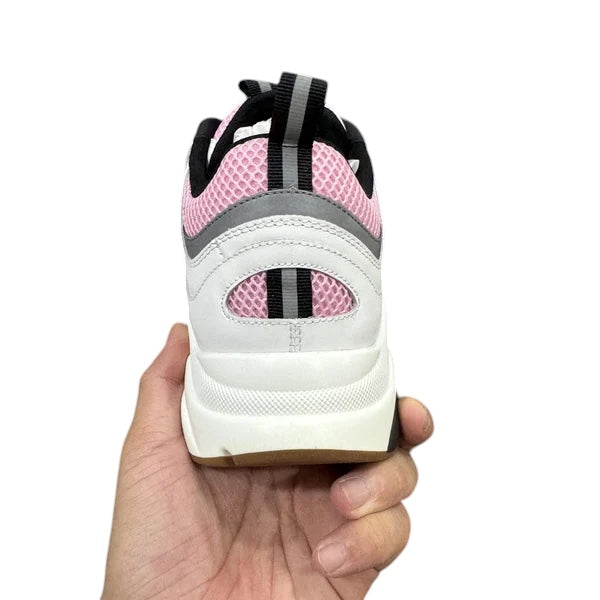 DIOR B22